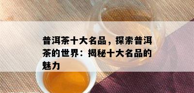 普洱茶十大名品，探索普洱茶的世界：揭秘十大名品的魅力