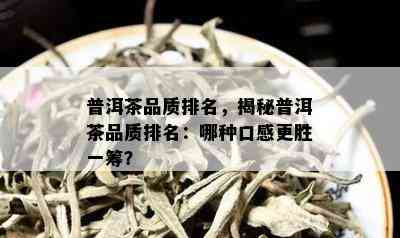 普洱茶品质排名，揭秘普洱茶品质排名：哪种口感更胜一筹？