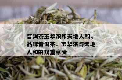 普洱茶玉华浓和天地人和，品味普洱茶：玉华浓与天地人和的双重享受