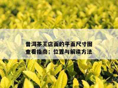 普洱茶王店面的平面尺寸图查看指南：位置与解读方法