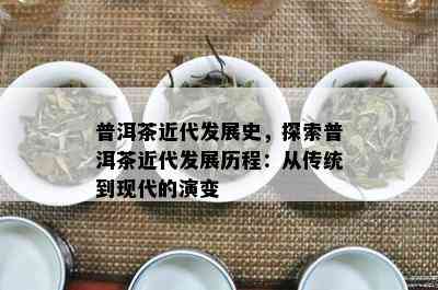 普洱茶近代发展史，探索普洱茶近代发展历程：从传统到现代的演变