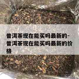 普洱茶现在能买吗最新的-普洱茶现在能买吗最新的价格