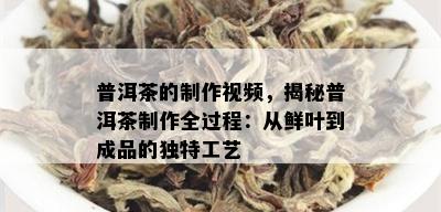 普洱茶的制作视频，揭秘普洱茶制作全过程：从鲜叶到成品的独特工艺