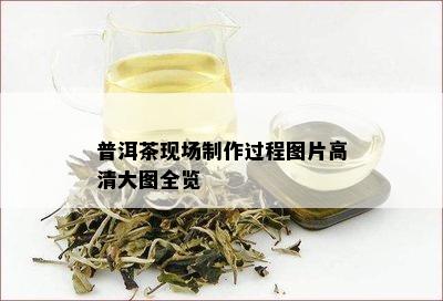 普洱茶现场制作过程图片高清大图全览