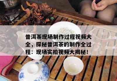 普洱茶现场制作过程视频大全，探秘普洱茶的制作全过程：现场实拍视频大揭秘！