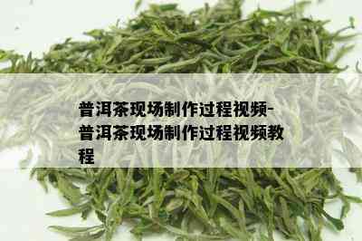 普洱茶现场制作过程视频-普洱茶现场制作过程视频教程