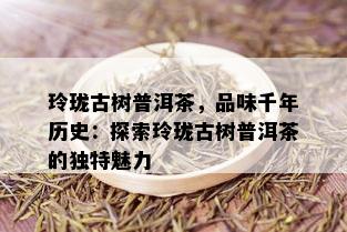 玲珑古树普洱茶，品味千年历史：探索玲珑古树普洱茶的独特魅力