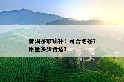 普洱茶玻璃杯：可否泡茶？用量多少合适？