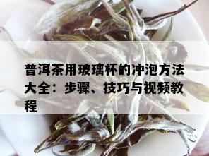 普洱茶用玻璃杯的冲泡方法大全：步骤、技巧与视频教程