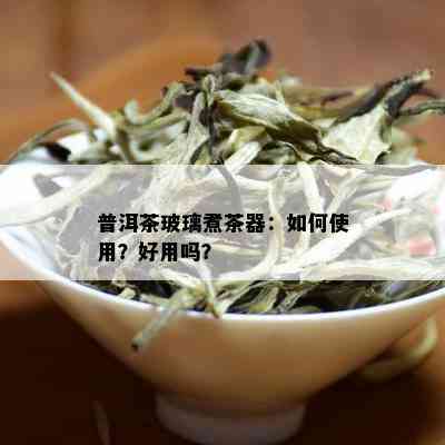 普洱茶玻璃煮茶器：如何使用？好用吗？