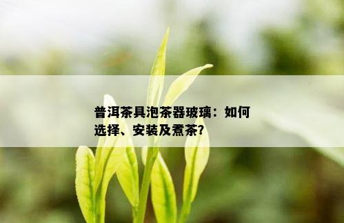 普洱茶具泡茶器玻璃：如何选择、安装及煮茶？