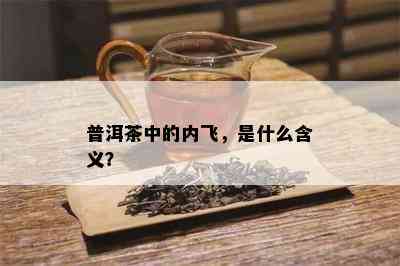 普洱茶中的内飞，是什么含义？