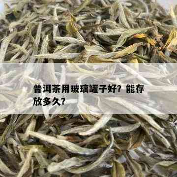 普洱茶用玻璃罐子好？能存放多久？