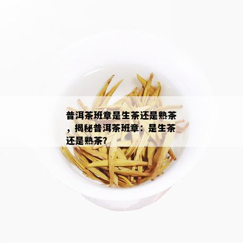 普洱茶班章是生茶还是熟茶，揭秘普洱茶班章：是生茶还是熟茶？