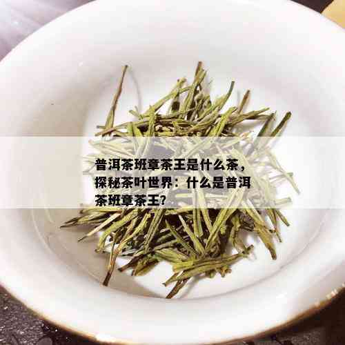 普洱茶班章茶王是什么茶，探秘茶叶世界：什么是普洱茶班章茶王？