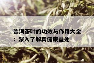 普洱茶叶的功效与作用大全：深入了解其健康益处