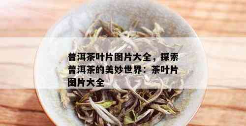 普洱茶叶片图片大全，探索普洱茶的美妙世界：茶叶片图片大全