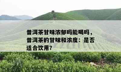 普洱茶甘味浓郁吗能喝吗，普洱茶的甘味和浓度：是否适合饮用？