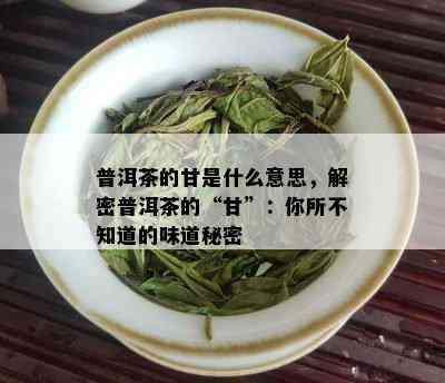 普洱茶的甘是什么意思，解密普洱茶的“甘”：你所不知道的味道秘密