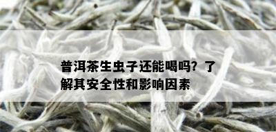 普洱茶生虫子还能喝吗？了解其安全性和影响因素