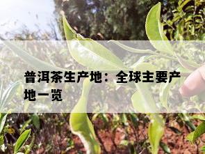 普洱茶生产地：全球主要产地一览