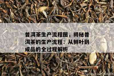 普洱茶生产流程图，揭秘普洱茶的生产流程：从鲜叶到成品的全过程解析