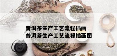 普洱茶生产工艺流程插画-普洱茶生产工艺流程插画图