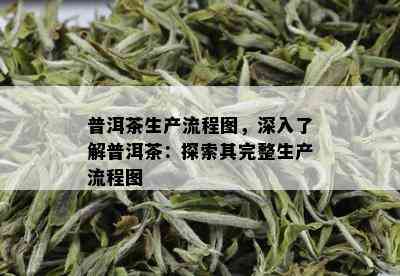 普洱茶生产流程图，深入了解普洱茶：探索其完整生产流程图