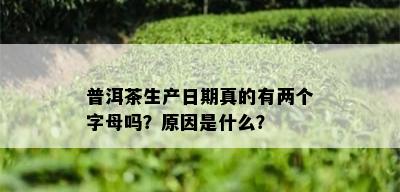 普洱茶生产日期真的有两个字母吗？原因是什么？