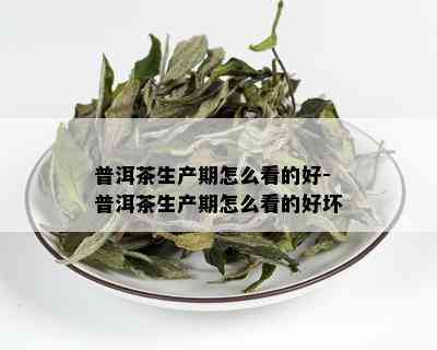 普洱茶生产期怎么看的好-普洱茶生产期怎么看的好坏