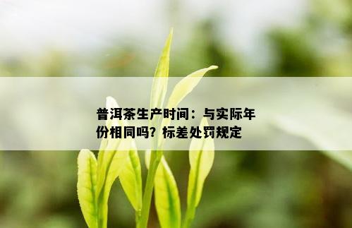 普洱茶生产时间：与实际年份相同吗？标差处罚规定