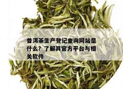 普洱茶生产登记查询网站是什么？了解其官方平台与相关软件