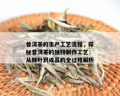 普洱茶的生产工艺流程，探秘普洱茶的独特制作工艺：从鲜叶到成品的全过程解析