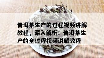 普洱茶生产的过程视频讲解教程，深入解析：普洱茶生产的全过程视频讲解教程