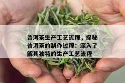 普洱茶生产工艺流程，探秘普洱茶的制作过程：深入了解其独特的生产工艺流程