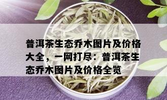 普洱茶生态乔木图片及价格大全，一网打尽：普洱茶生态乔木图片及价格全览