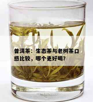 普洱茶：生态茶与老树茶口感比较，哪个更好喝？