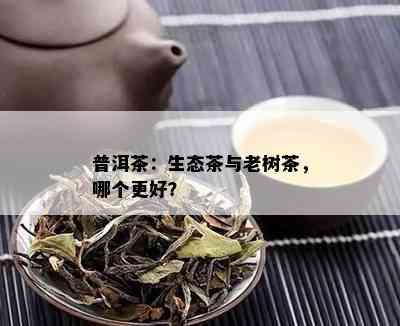 普洱茶：生态茶与老树茶，哪个更好？