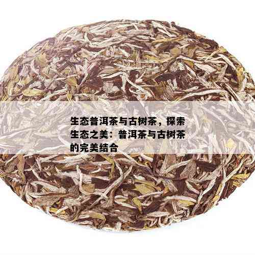 生态普洱茶与古树茶，探索生态之美：普洱茶与古树茶的完美结合