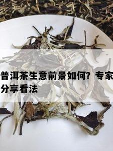 普洱茶生意前景如何？专家分享看法