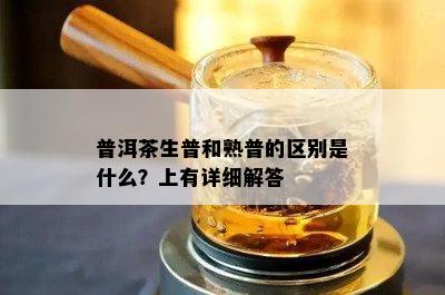 普洱茶生普和熟普的区别是什么？上有详细解答