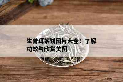 生普洱茶饼图片大全：了解功效与欣赏美图