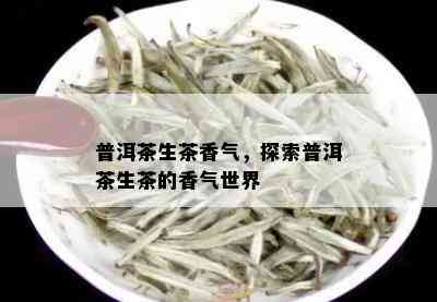 普洱茶生茶香气，探索普洱茶生茶的香气世界