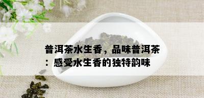 普洱茶水生香，品味普洱茶：感受水生香的独特韵味