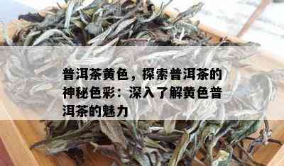 普洱茶黄色，探索普洱茶的神秘色彩：深入了解黄色普洱茶的魅力