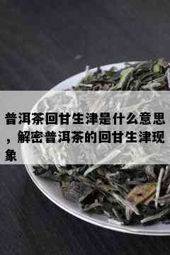 普洱茶回甘生津是什么意思，解密普洱茶的回甘生津现象