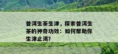 普洱生茶生津，探索普洱生茶的神奇功效：如何帮助你生津止渴？