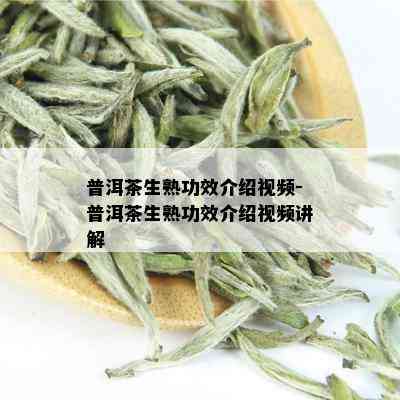 普洱茶生熟功效介绍视频-普洱茶生熟功效介绍视频讲解