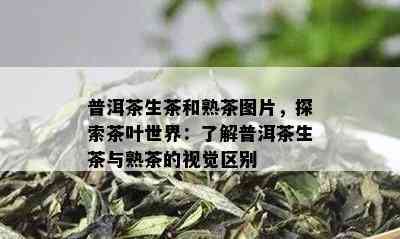 普洱茶生茶和熟茶图片，探索茶叶世界：了解普洱茶生茶与熟茶的视觉区别