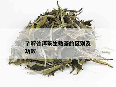 了解普洱茶生熟茶的区别及功效